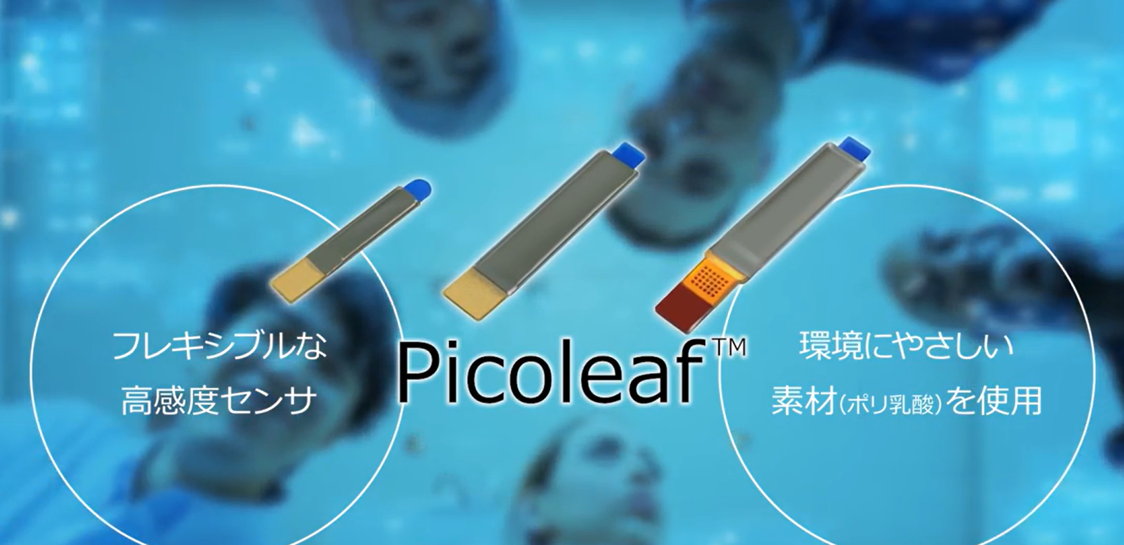 株式会社村田製作所
